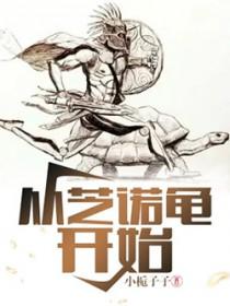 芝诺的乌龟图片