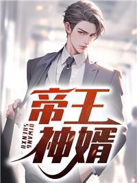 帝王神婿梦洁琳姨