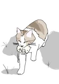 十八线演员上位记演员表