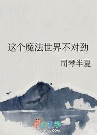 这个魔法世界不对劲(司琴半夏)