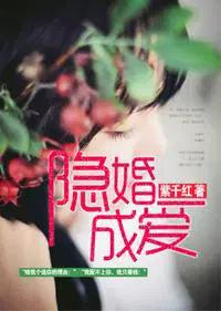 隐婚成爱电视剧