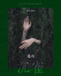 池心沉雀免费阅读