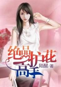 极品护花高手