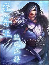 少年骇客至尊王