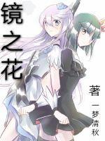 镜之花 木偶动画