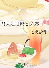 马大姐分集目录