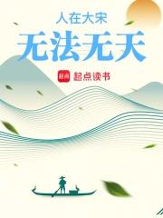 人在大宋无法无天起点中文网