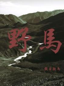 野马电池股东陈一军减持股份