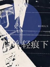 轻痕下by假日斑马讲的什么