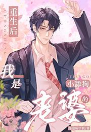 重生后我是老婆的小舔狗纯爱码字机