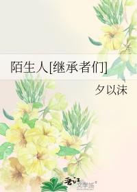 陌生人[继承者们