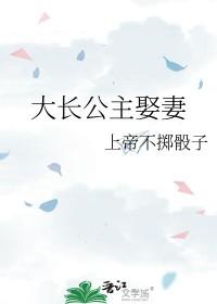 大长公主长公主