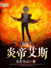 海贼之炎帝降临免费阅读