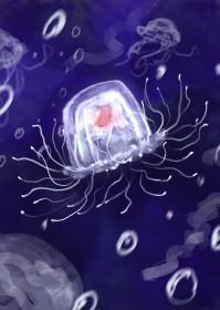 小水母的海底历险记百度