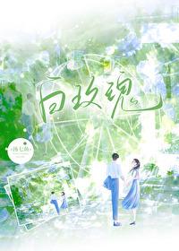 白玫瑰寓意及花语