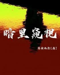 暗中窥算是什么意思