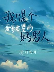 我只是个爱养老婆的好男人晋江