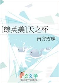 综英美天之杯