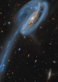 仿生人他只想做爱免费阅读