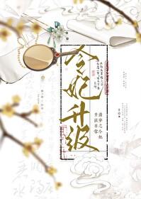 清穿之令贵妃晋升记作者梅若苦寒