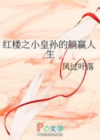 穿越红楼之皇后