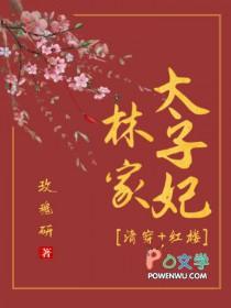 林家子txt