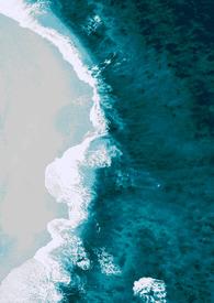 掌心梅党历史原型是谁