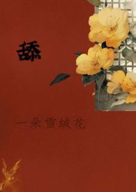 大雁塔采访视频原版