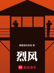 烈风天翼是什么动画片