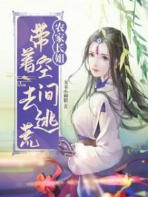 穿越农家带空间的