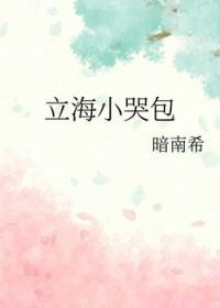 网王立海甜文