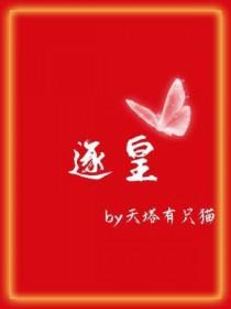 逐皇by天塔有只猫百度txt