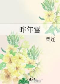 昨年雪讲的什么