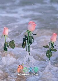 我也有耶耶耶by