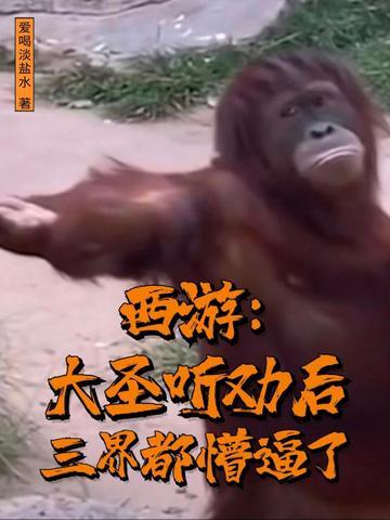 大圣听了也会惆怅 图片