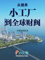 从继承小铁矿到资源大亨笔趣阁