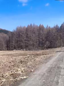 四合院之我成了