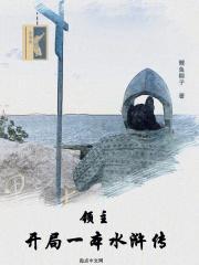 领主开局一本水浒传起点