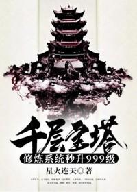 千层宝塔修炼系统秒升999级等级