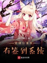 爱情公寓之系统
