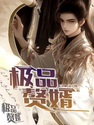 极品最强赘婿