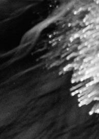 夜宠轻轻全文阅读