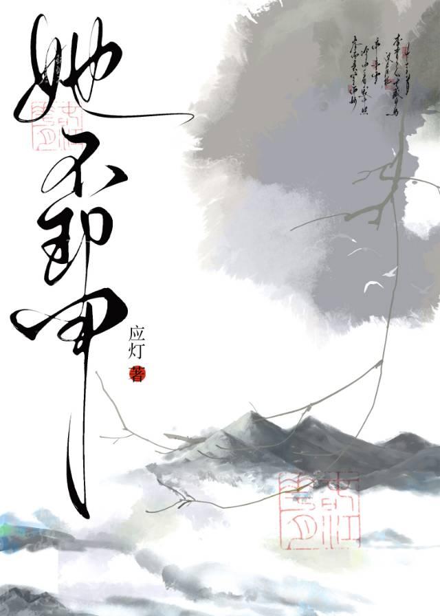 她不卸甲免费阅读全文