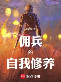 佣兵战纪 发生错误