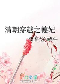 清朝穿越之德妃全文免费阅读