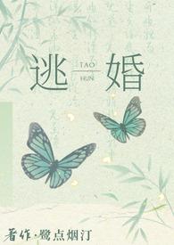 逃婚后去往何处(n)