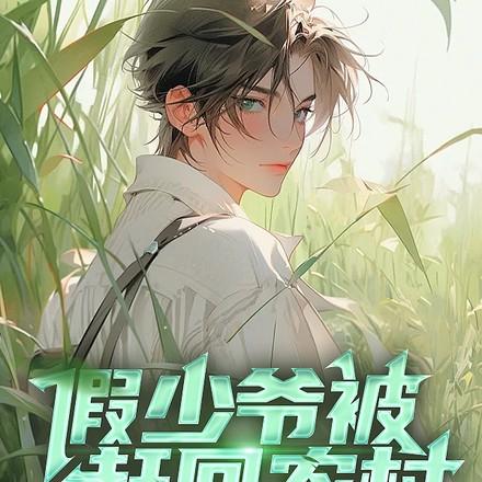 假少爷被赶回农村带妻儿逆袭人生短剧