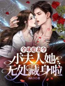 全球追妻全文免费阅读