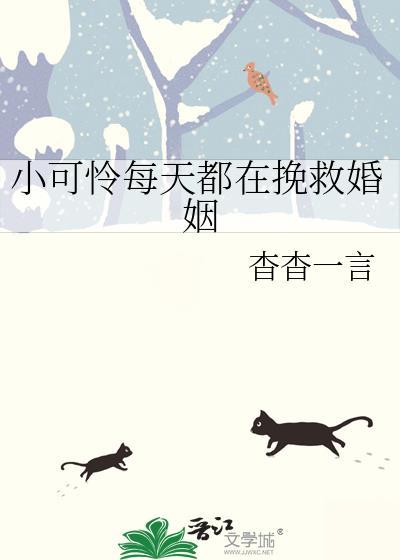 小可怜每天都在挽救婚姻txt