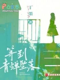 等到青蝉坠落讲了什么